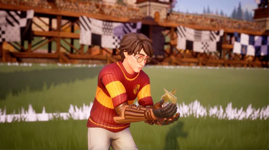 HP-quidditch-champs-harry-snitch-quidditch-pitch-web-landscape