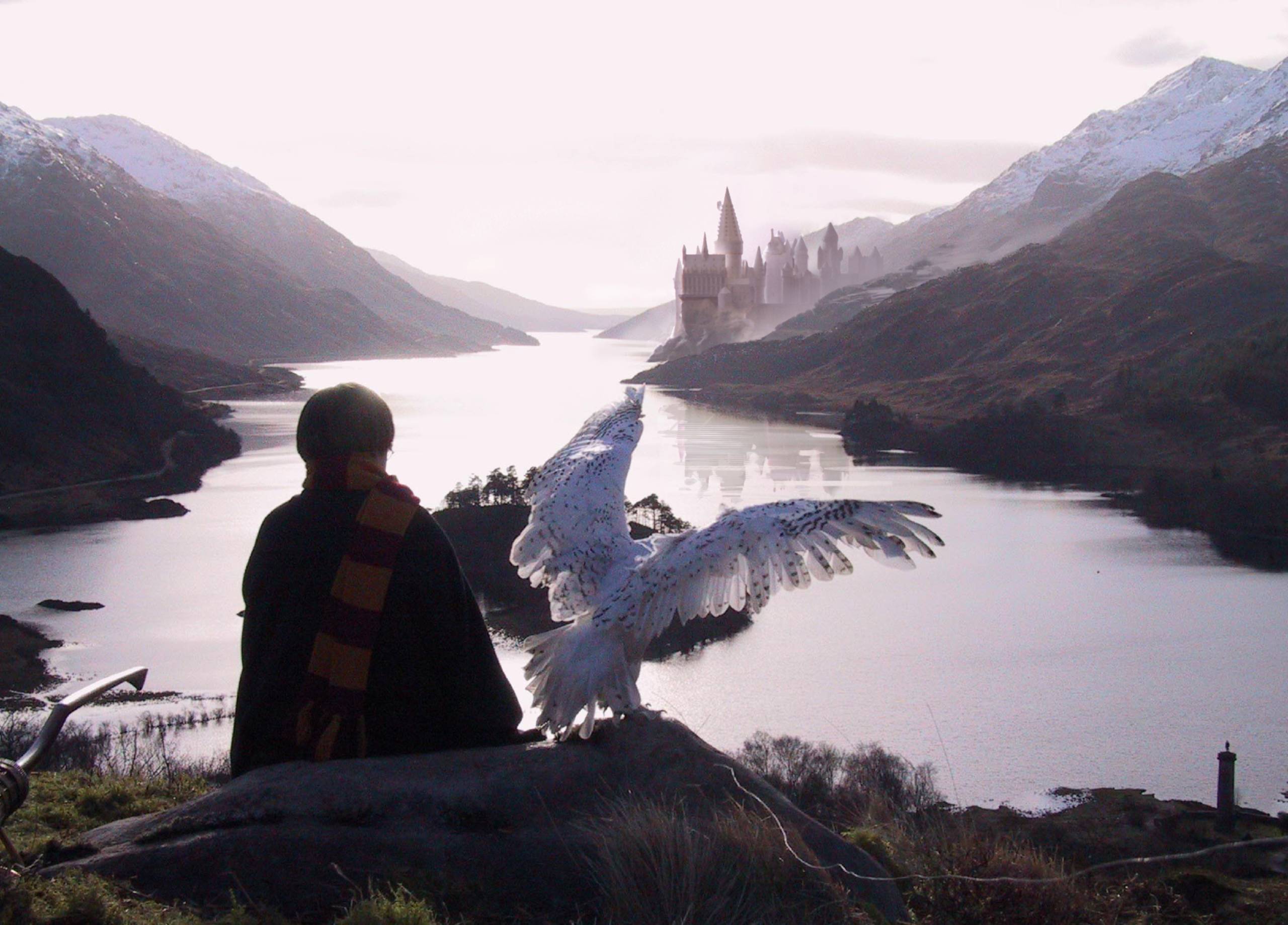 harry-hedwig-castle-image-whimsical-hogwarts